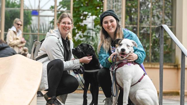 Million Paws Walk at Adelaide Botanic Gardens. Picture: Brenton Edwards