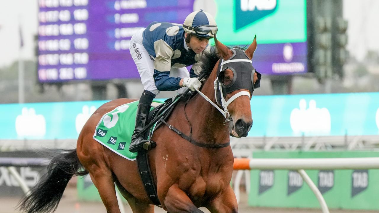 Melbourne Cup barrier draw: Luck deserts Waller but Irish are smiling