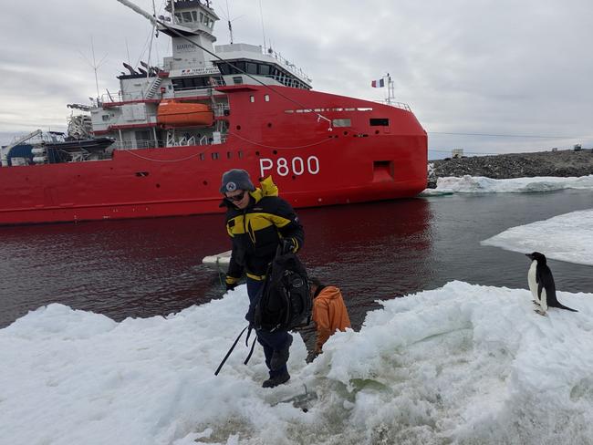 Expeditioner Karina Acton lands at Dumont d'Urville Station from a small boat from L'Astrolabe while watched by a curious Adelie penguin at the ice edge. Picture: David Killick