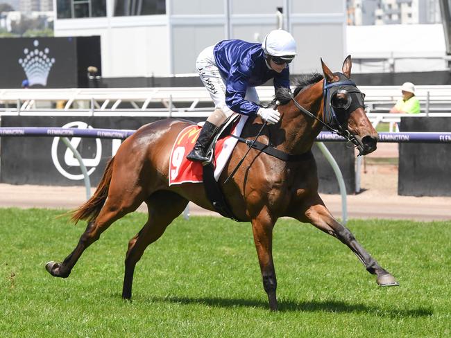 The Map ridden by Jamie Kah wins The Macca's Run at Flemington. Picture: Brett Holburt/Racing Photos via Getty Images