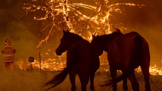 A fire approaches the property of the Bilpin Fruit Bowl. Photo Jeremy Piper