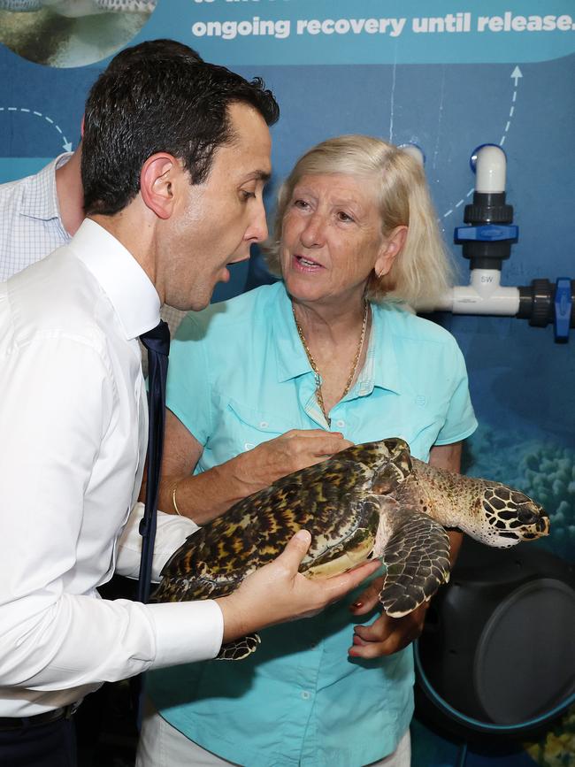 Leader of the Opposition David Crisafulli and Shadow Minister for Environment Sam O'Connor with Dennis the juvenile Hawksbill turtle, and Turtle Triage and Rehabilitation Centre co-founder Jennie Gilbert during a tour of Cairns Aquarium. Picture: Liam Kidston