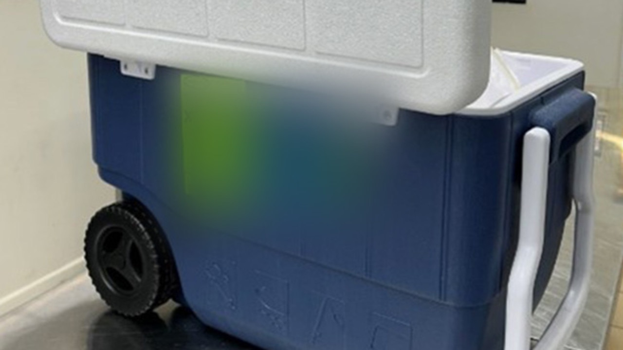 Esky of meth allegedly found at airport