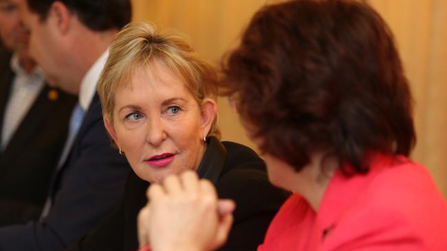 Ros Bates in the new Shadow Cabinet. Photo: Tara Croser.