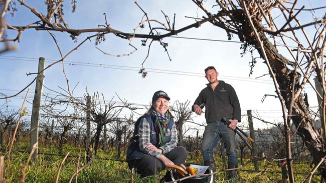 University of Adelaide researcher Dr Roberta De Bei with grower Tim Bartsch of Lenswood Rise at Lobethal, where fire scorched 7 hectares of his vineyards. Picture: Tom Huntley