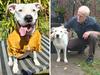 Update after dog stolen on walk by youths