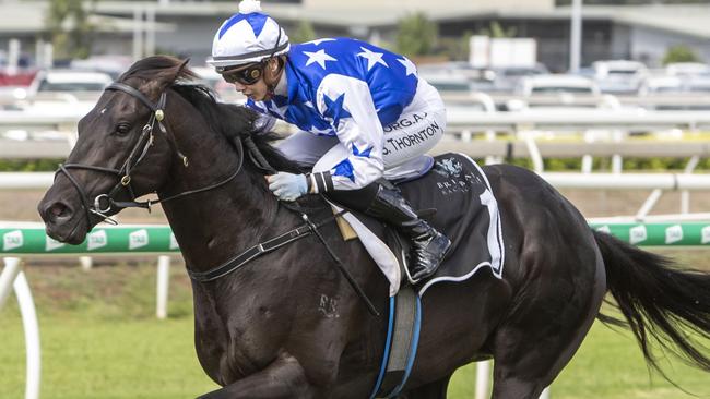 The Odyssey drops back to his own age and will be hard to beat. Picture: AAP