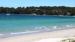 Police will address the media to appeal for information as investigations continue into a fatal dog attack at Collingwood Beach on the state’s South Coast earlier this year.