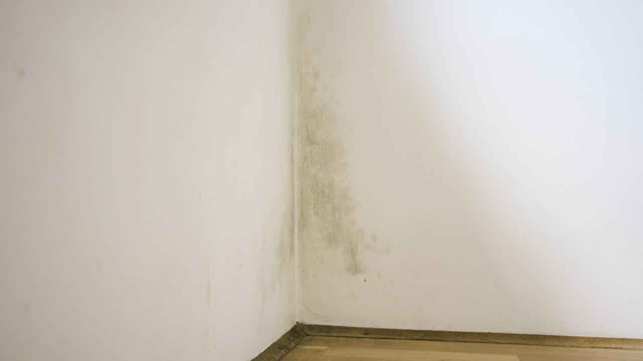 Mould has the potential to grow inside and outside. Image: Getty