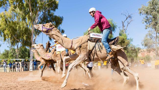 The Lasseter Sprint was the first race of the Alice Springs Camel Cup. Picture: EMMA MURRAY