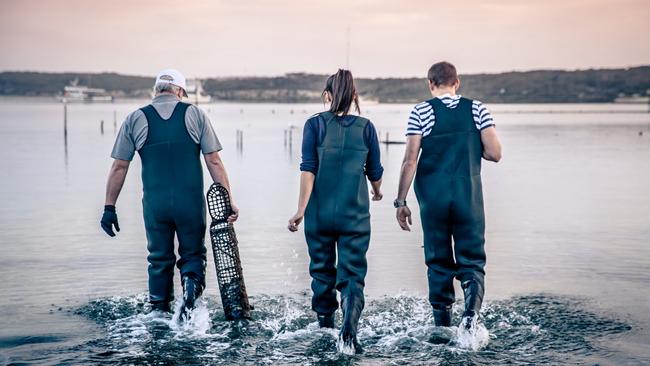 Escape Coffin Bay Oyster Farm SA