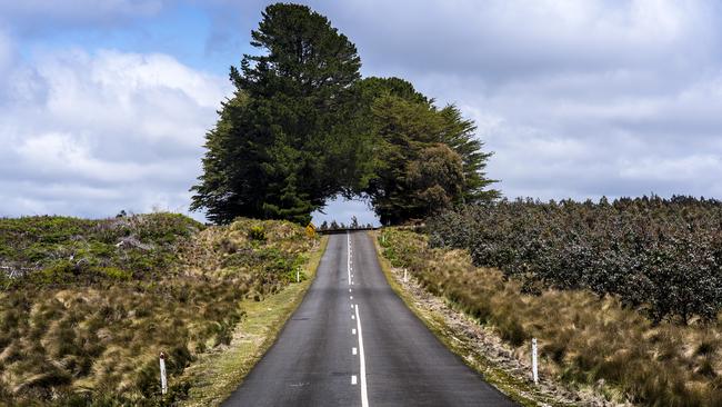 Murchison Highway on the way to Hellyer GorgeMUST CREDIT: Tourism Tasmania and Rob Burnett