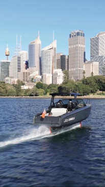 Why Sydney Harbour will turn green