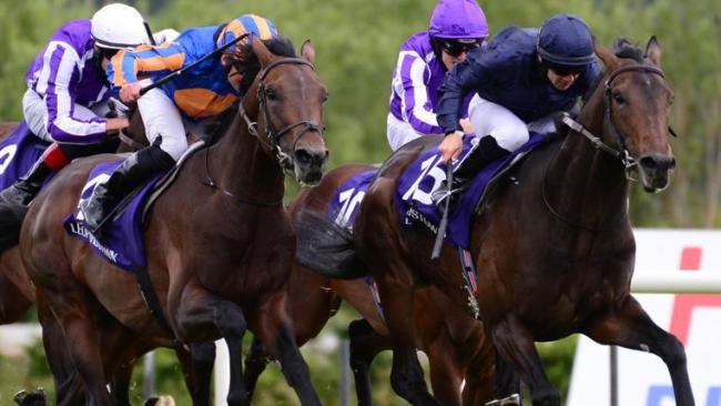 Tiger Moth wins at Leopardstown in Ireland. Picture: PA Images via Getty Images