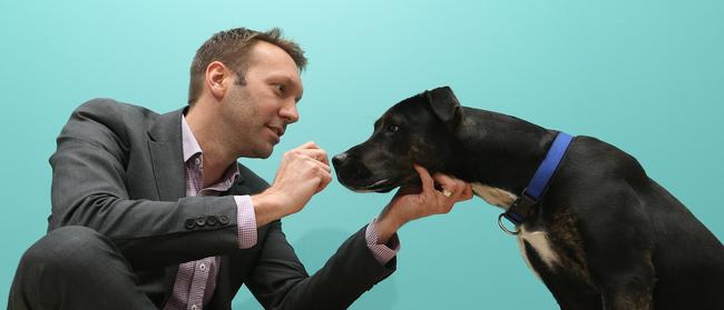 National Veterinary Care Managing Director Tomas Steenackers has overseen a massive expansion of the business to New Zealand. Picture: Glenn Hampson