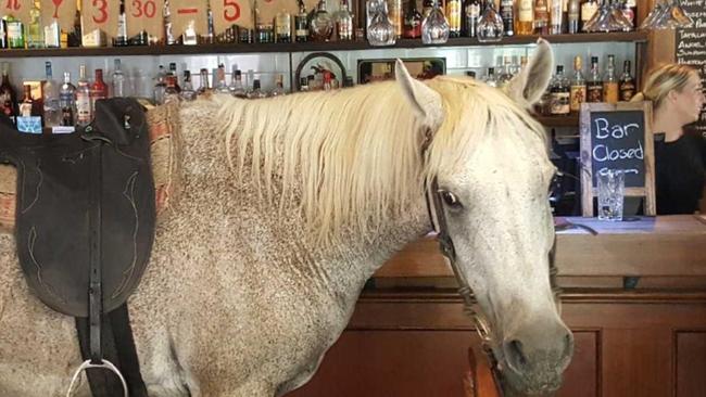 Ferruche stops for a drink at Woodchoppers Inn Mudgeeraba