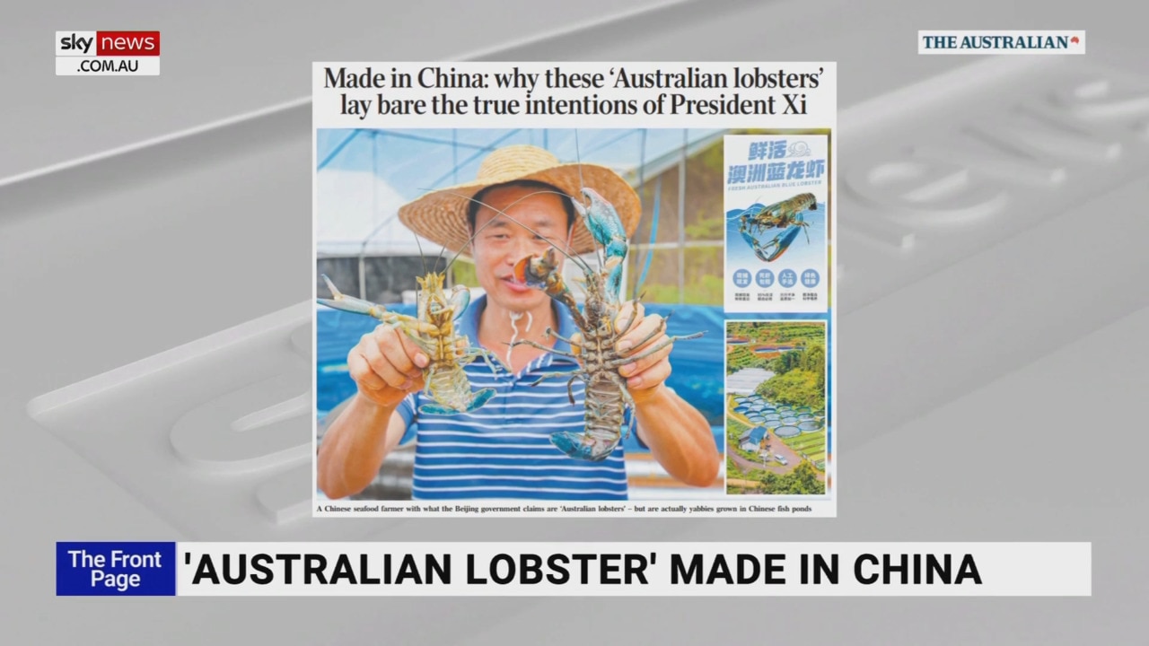 Chinese Government ‘ramped Up Support’ For Made In China Australian ...