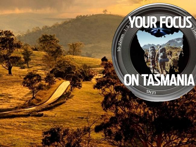 Your focus on Tasmania gallery