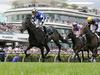 Tabcorp in bid for Melbourne Cup broadcast rights