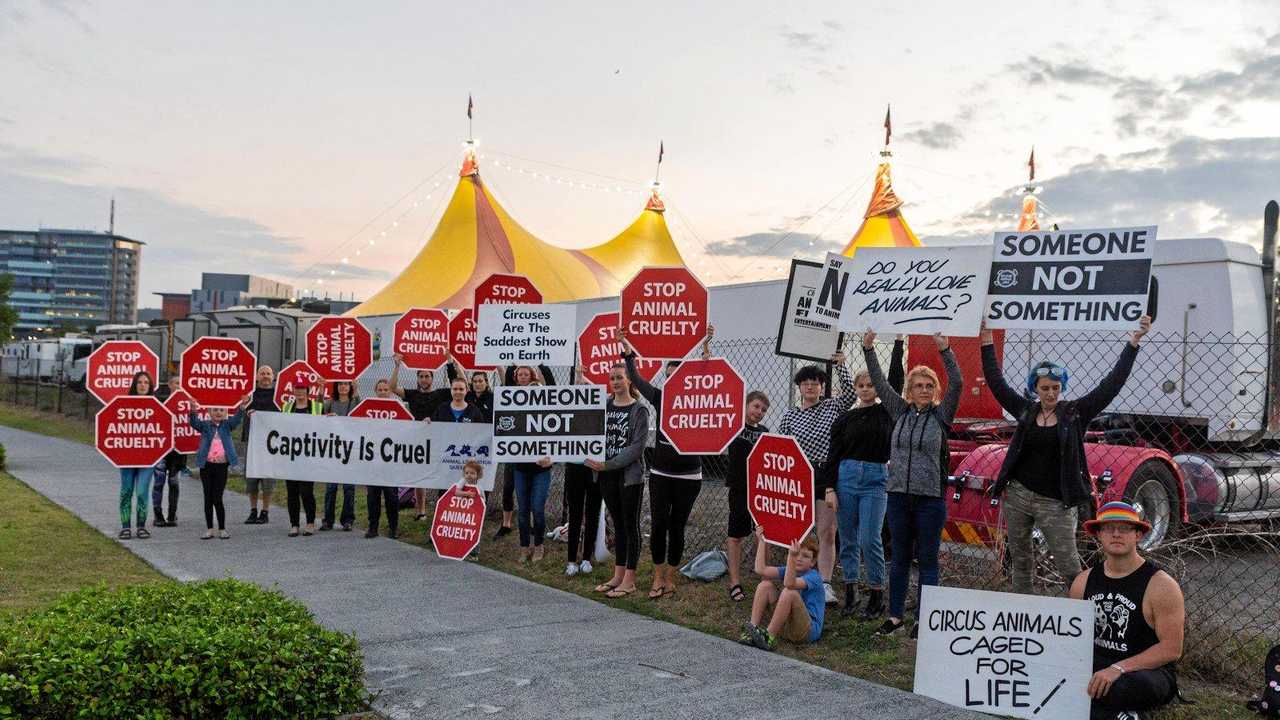 Animal Liberation Qld protesters at Hudsons Circus at Springfield on Friday. Picture: Contributed