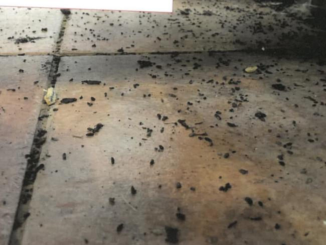 Rat droppings found at Lambs on Lygon St. Supplied.