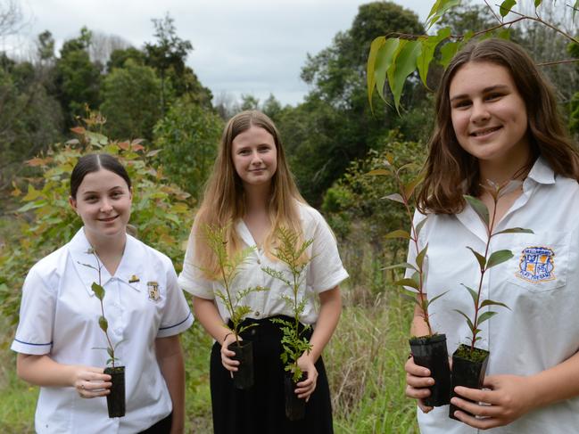 Mullumbimby High School vice captain Indi Gumbrell and fellow students Malani Farrell and Bethany Woods prepare to plant trees as part of the new Trees for Koalas - Connecting Communities project. The project is aimed at increasing the number of koala food trees on private properties within the Byron Shire. The group toured a Binna Burra property on Tuesday, October 27, before planting 400 new koala food trees to build upon existing plantation works.  Picture: Liana Boss