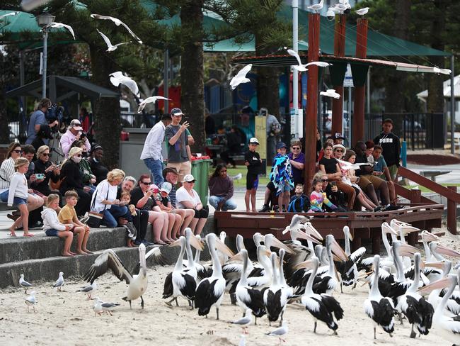 Mask-free people on the Gold Coast.