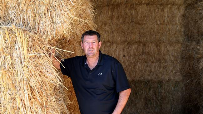 Cohuna dairy farmer John Keely for FOCUS. John is also the UDV vice-president. Picture: ANDY ROGERS