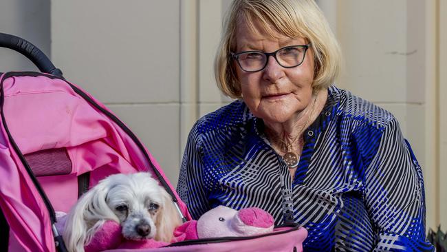 Gold Coast Councillor Dawn Crishlow with her dog Princess Pookie in Southport. Picture: Jerad Williams