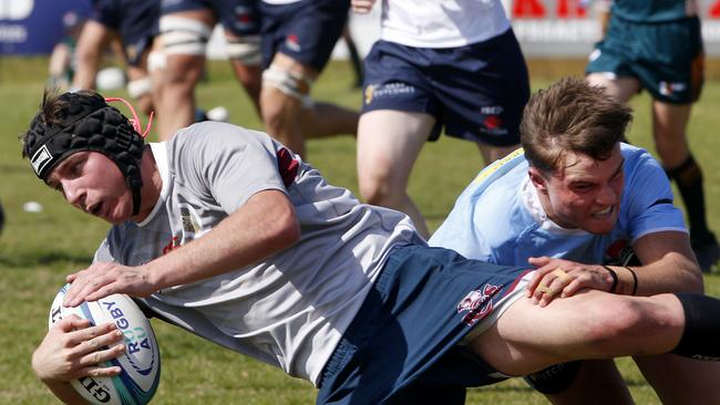 Queenland Reds' Dominic Kallquist. Picture: John Appleyard