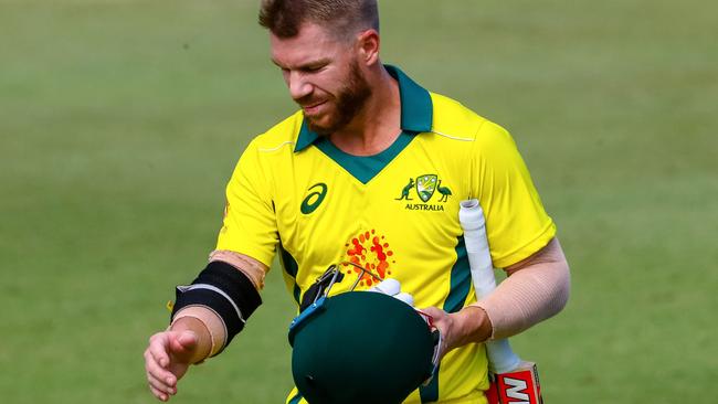 David Warner is likely to cop flack from England fans throughout the World Cup and Ashes.