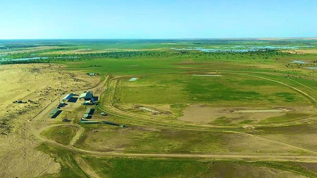 The Birdsville racetrack covered in a blanket of grass following recent rains. Picture: David Brook 