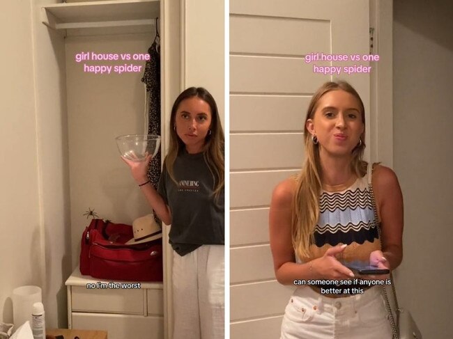 The interaction with the spider has gone viral. Picture: TikTok/chloebaradinsky