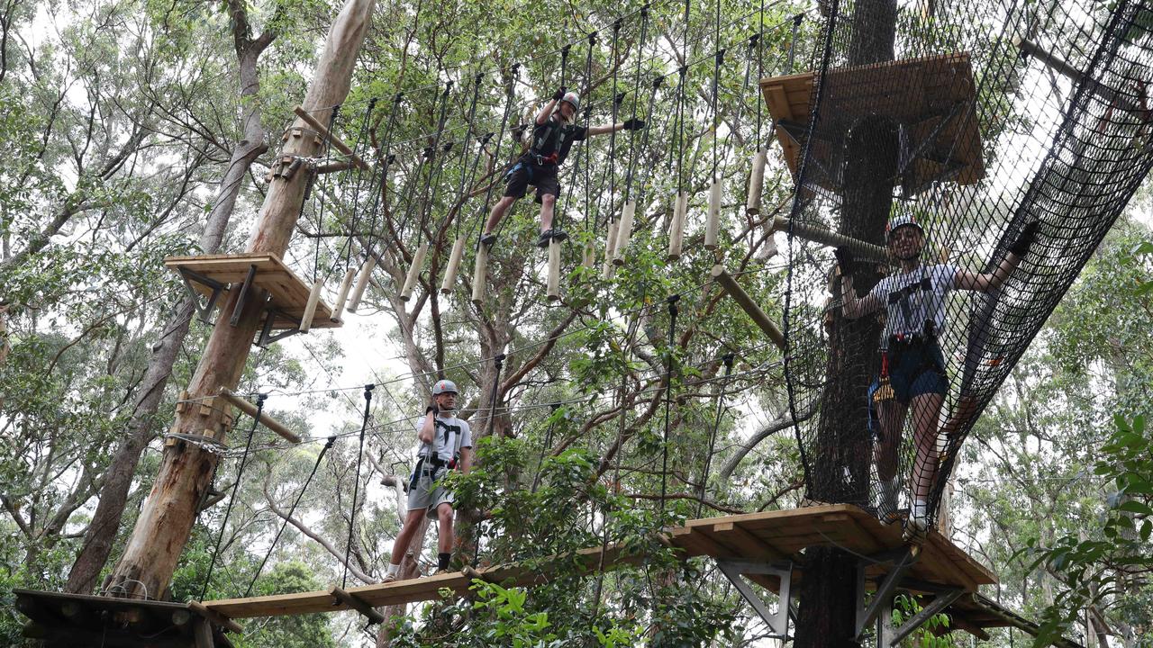 TreeTop Challenge Currumbin: First look at adventure centre | Gold ...