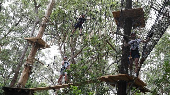 First look at First look at the new TreeTop Challenge at Currumbin Wildlife Sanctuary. Picture: Glenn Hampson.