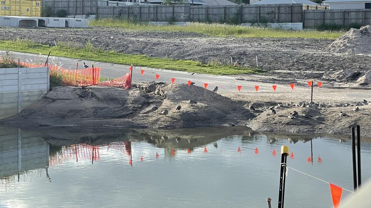 Birds can be seen in the flooded parts of the land. Picture: Supplied