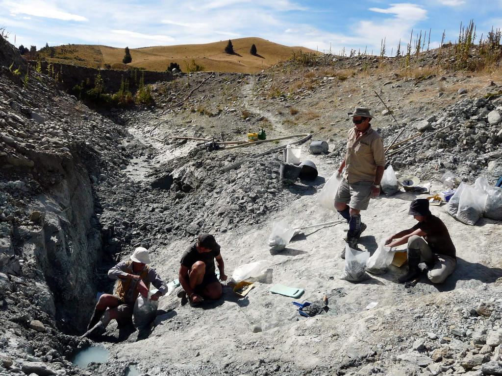 Scientists working at an excavating site in St Bathans in New Zealand's Central Otago. Picture: AFP/Te Papa Museum/Alan Tennyson.