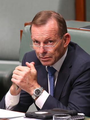 Tony Abbott. Picture: Kym Smith