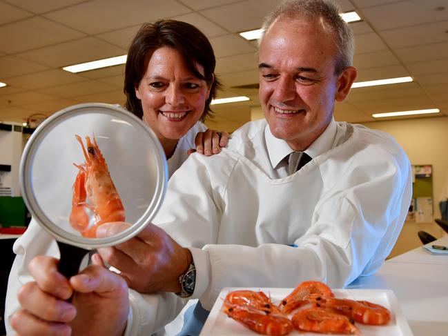 A/Prof Sarah Vreugd and  Prof Peter-John Wormald  are some of the team behind new research that uses a protein from prawn shells to combat back pain because of scarring and adhesions following surgery. Pictured at Basil Hetzel Institute, Woodville South. Picture: Bianca De Marchi