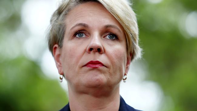 Tanya Plibersek. Picture: Hollie Adams.