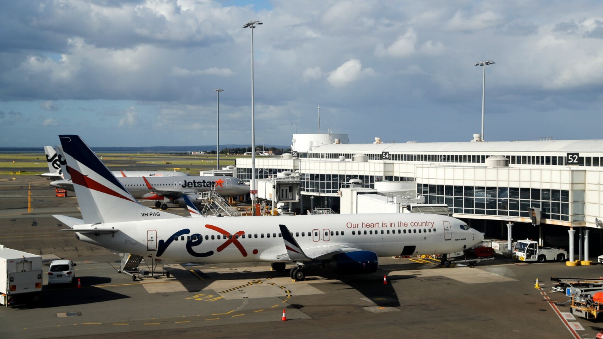 Government prepared to buy Rex Airlines if no buyer is found