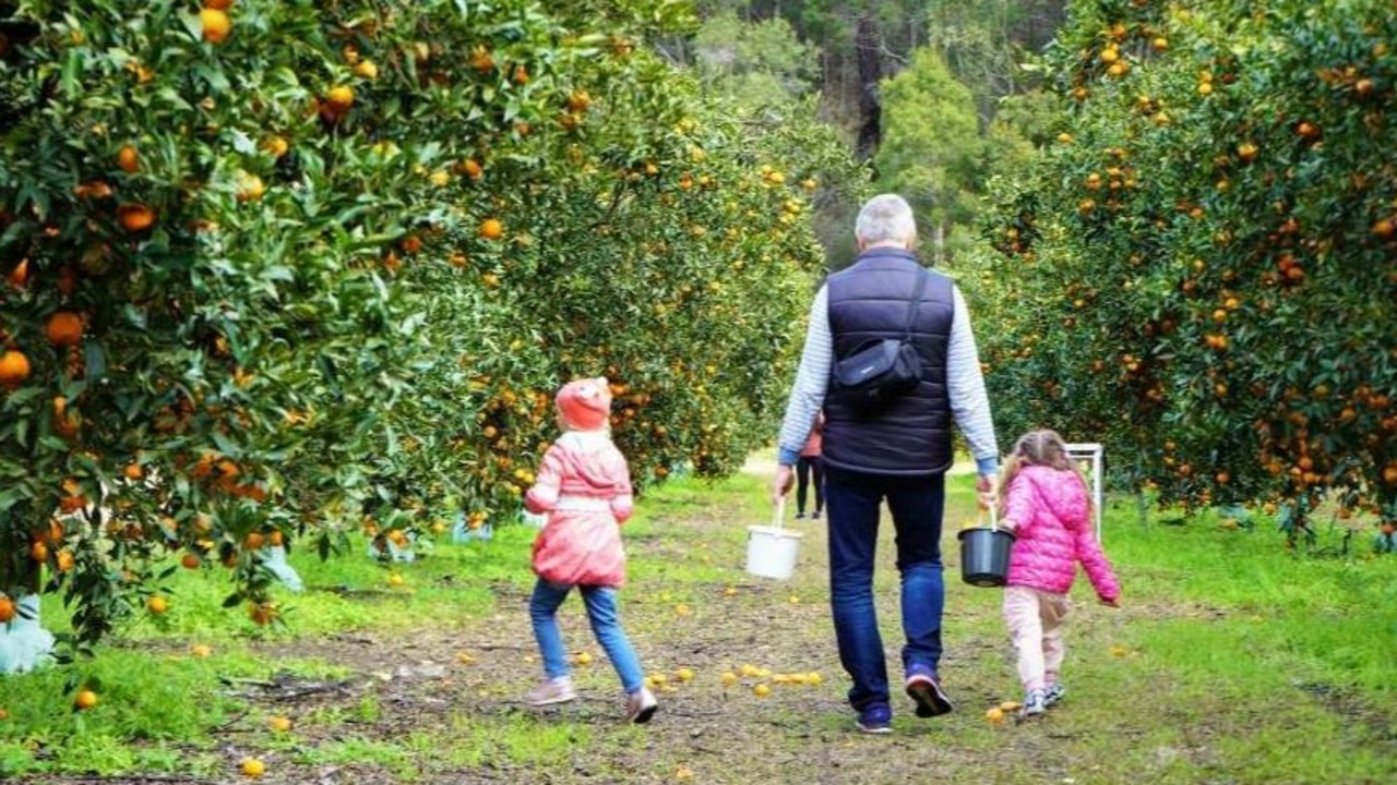 Customers return every year to pick their own produce at Fords Farm in Laughtondale. Picture: Facebook