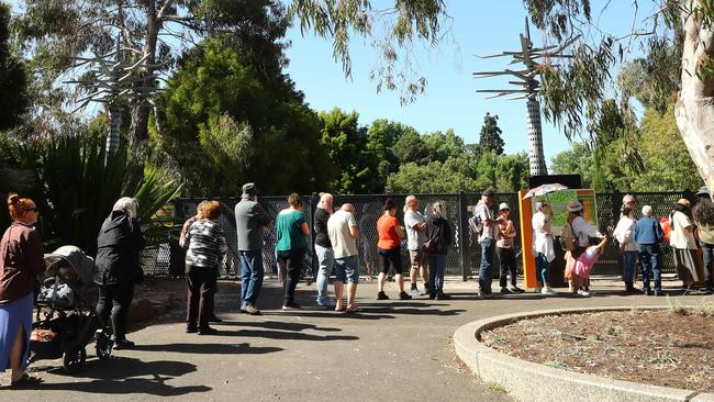 Crowds queue to see the corpse flower in full bloom at the Geelong Botanic Gardens. Picture: Alison Wynd