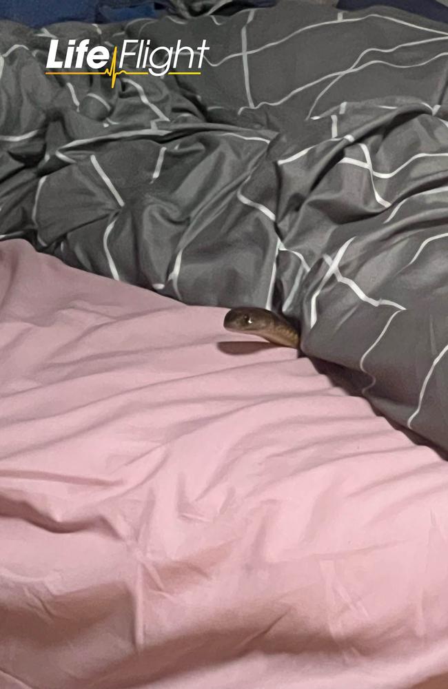 The eastern brown snake slithered under Kasey Leadbetter's bedsheets revealing itself after she had jumped out of bed.