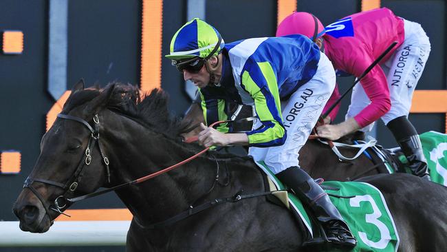 Mirage Dancer will attempt to make it back-to-back wins in the Group 1 Metropolitan. Picture: Getty Images