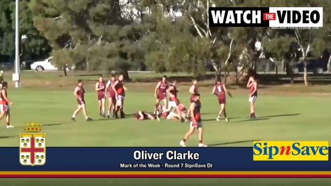 Adelaide Footy League Round 7 Marks of the Week