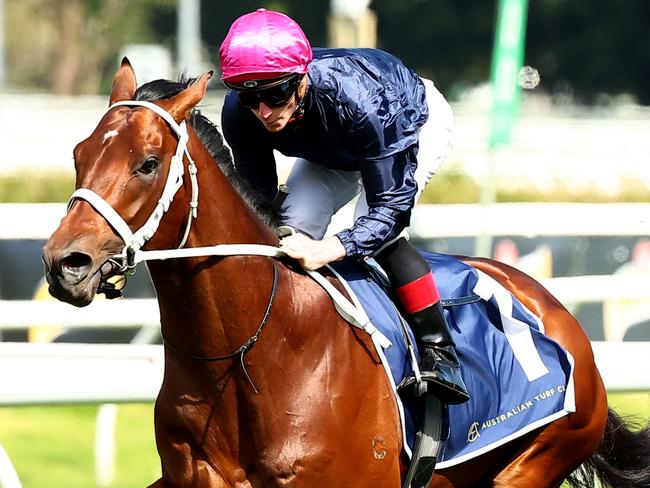 SYDNEY, AUSTRALIA - SEPTEMBER 02: James McDonald riding Shinzo and Kerrin McEvoy riding Militarize participate in an Exhibition Race after Race 2  during "City Tattersalls Club Cup Day" - Sydney Racing at Royal Randwick Racecourse on September 02, 2023 in Sydney, Australia. (Photo by Jeremy Ng/Getty Images)