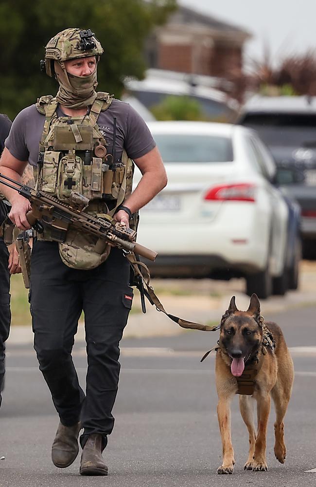 A hero police dog helped bring the gunman down. Picture: Ian Currie