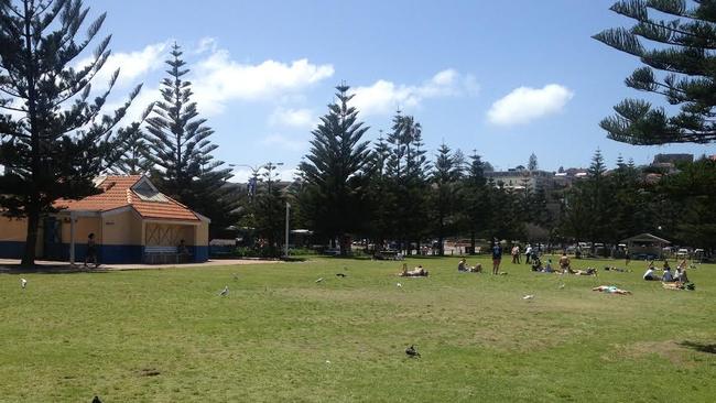 Goldstein Reserve, where sunbathers reguarly enjoy the sun.