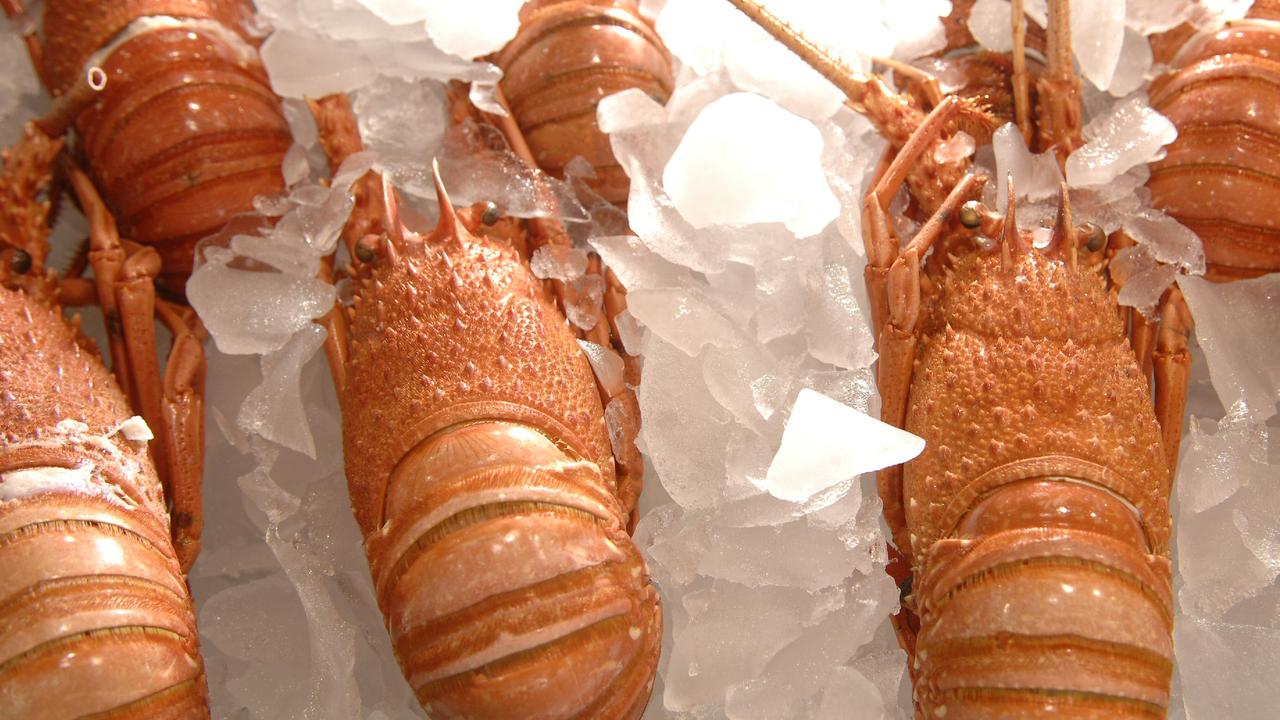 China reveals big move on Aussie lobster ban